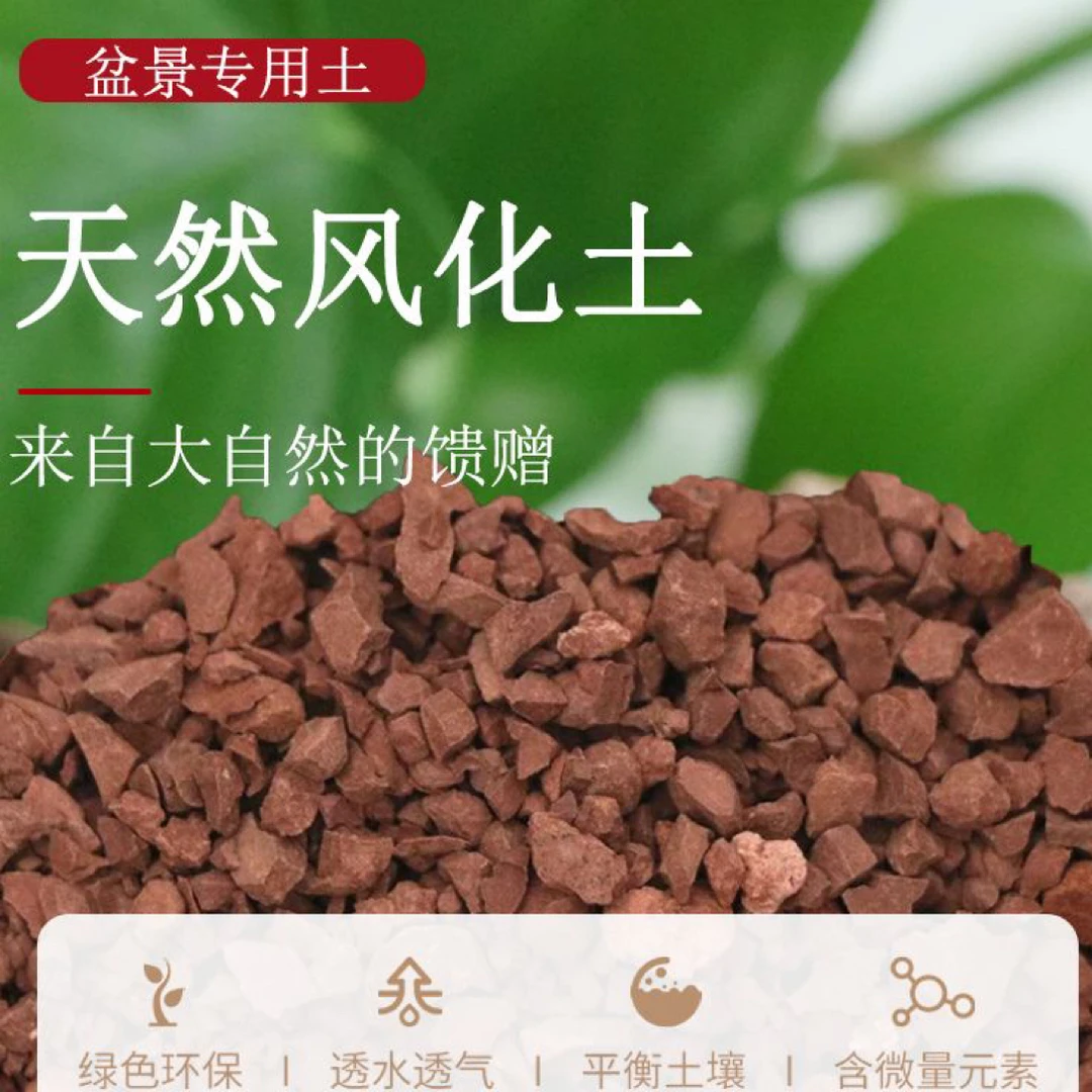 天然风化石适合盆栽金弹子兰科通用基质植料颗粒种植营养土颗粒土