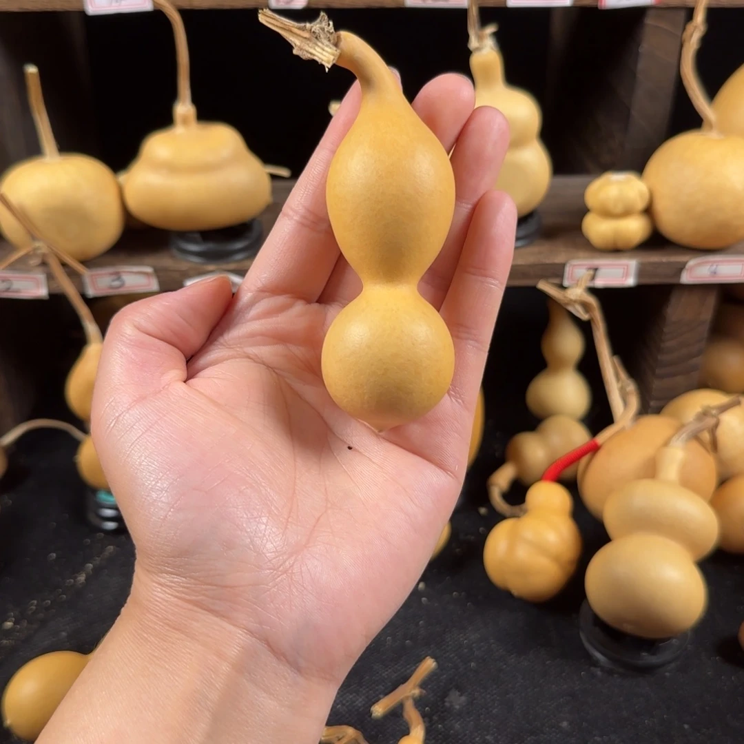 橙***非葫芦葫芦葫芦葫芦葫芦葫芦