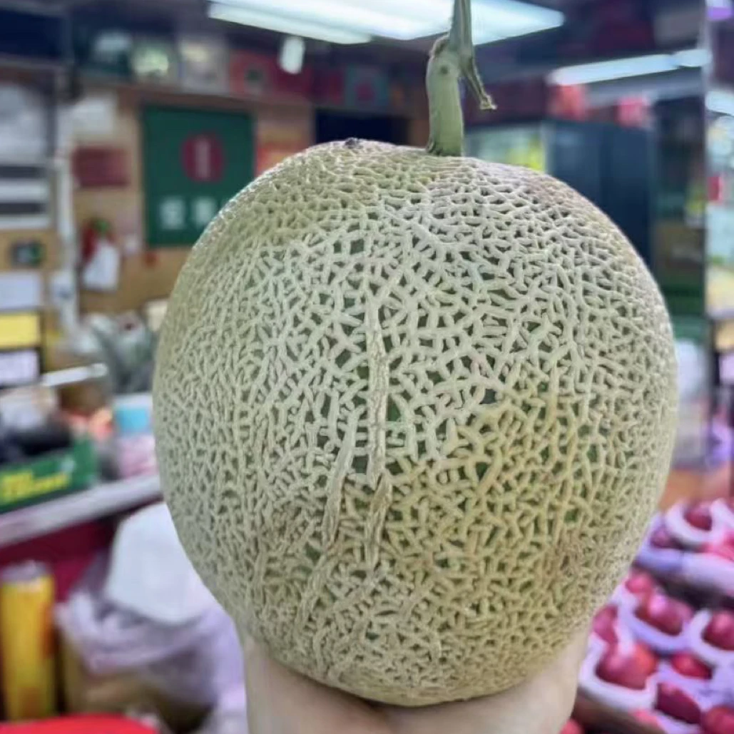 果切活动小网纹 哈密瓜 一个