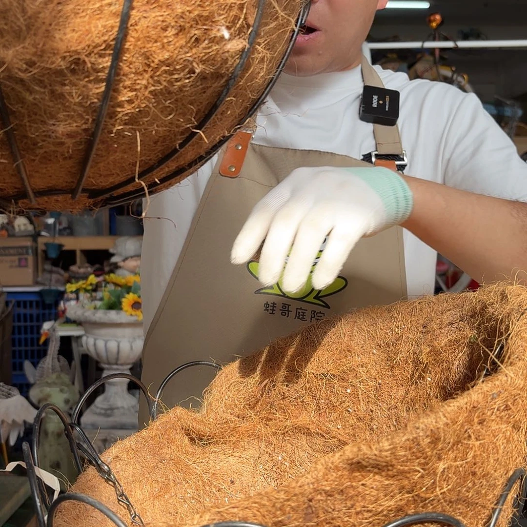 核桃木/黑胡桃（胡桃木）