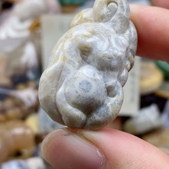 硅化珊瑚（珊瑚玉）未镶嵌颈饰