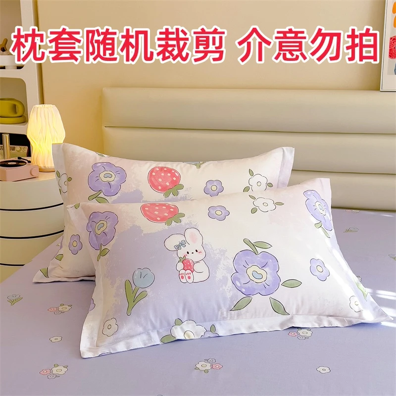 纯棉枕套一对装单人枕头罩48x74cm全棉枕芯内胆套学生冬季枕罩2只