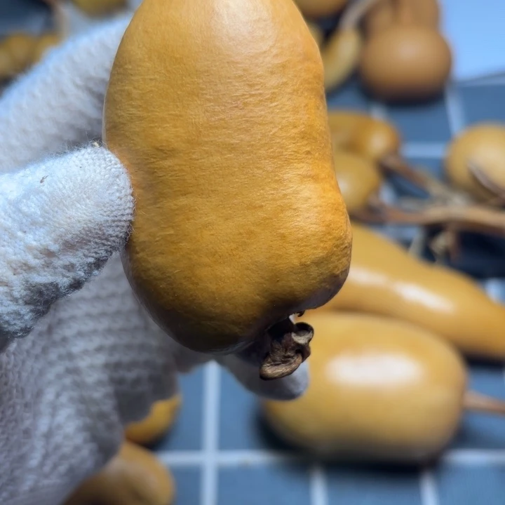 木***涛66666666666666666666