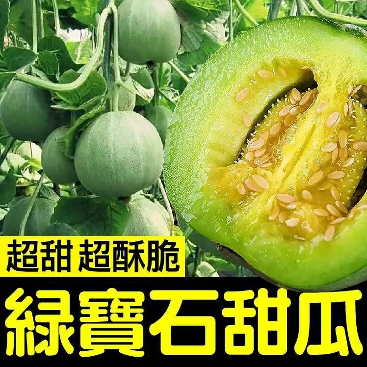 绿宝石甜瓜苗秧超甜香瓜苗早熟高糖羊角蜜四季栽阳台盆栽蔬果菜苗