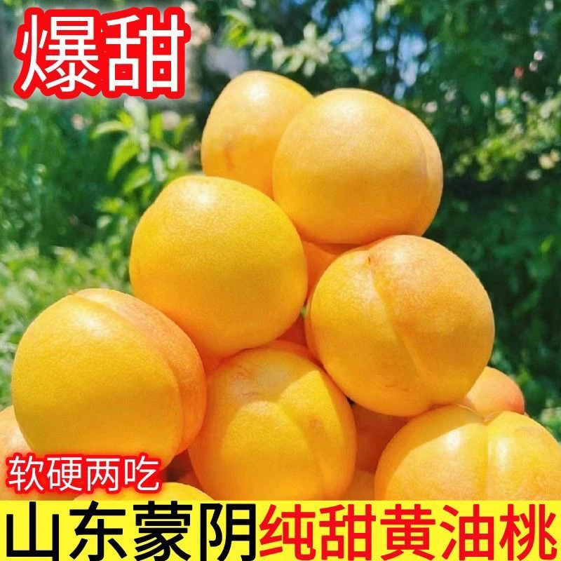 蒙阴黄金油桃2/3/4.5-5斤装 放软口感更佳黄桃水蜜桃