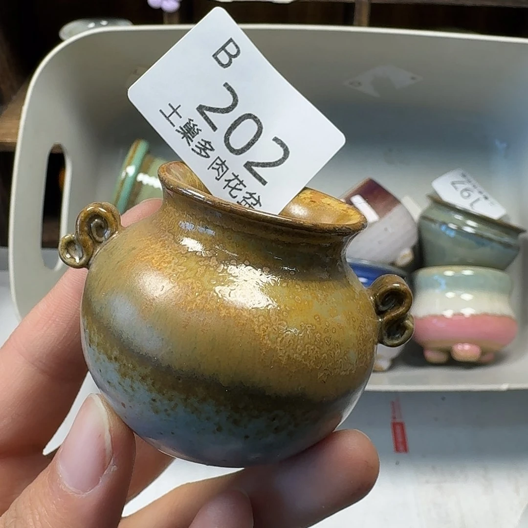 罐陶瓷艺术与工艺