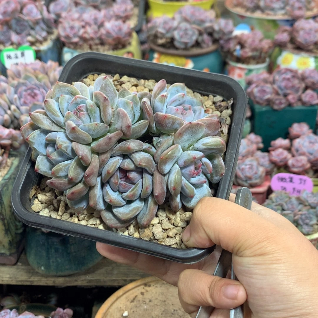 哈哈哈哈哈哈哈哈9