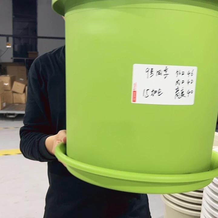 特价9号口46高40果绿色3只带托
