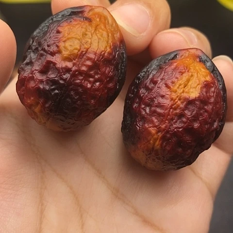 文玩核桃把件36尺蟒纹龙蛋