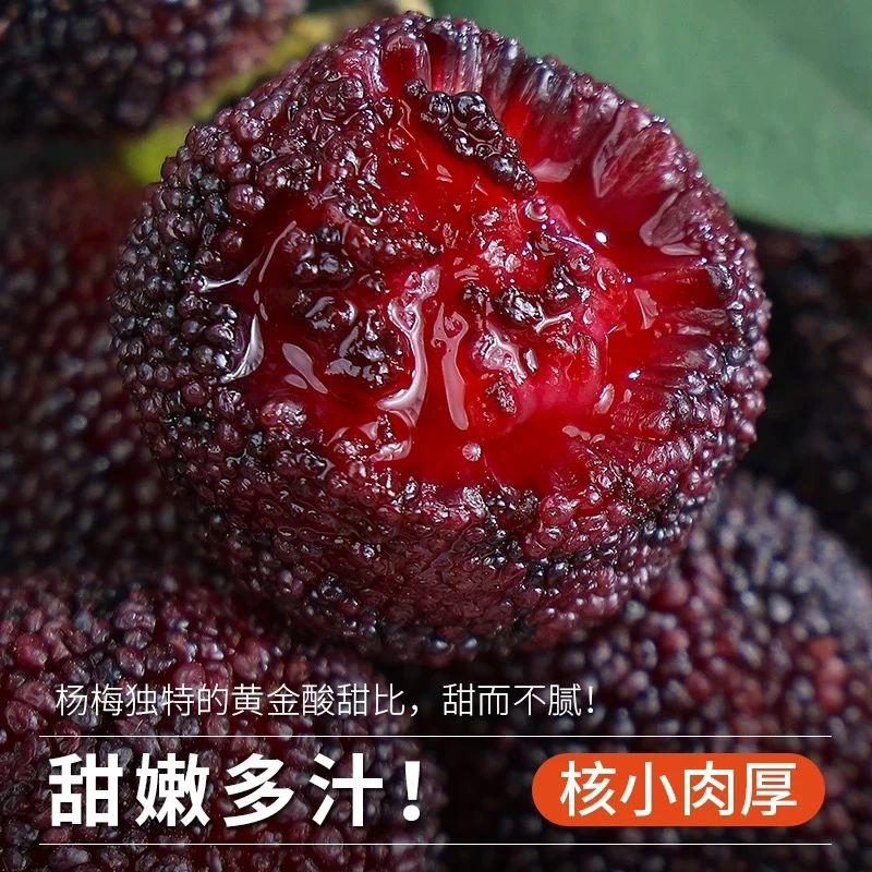 【杨梅土氣杨梅】哪吒云南高山东魁杨梅新鲜水果孕妇可食应季水果包邮G新鲜杨梅