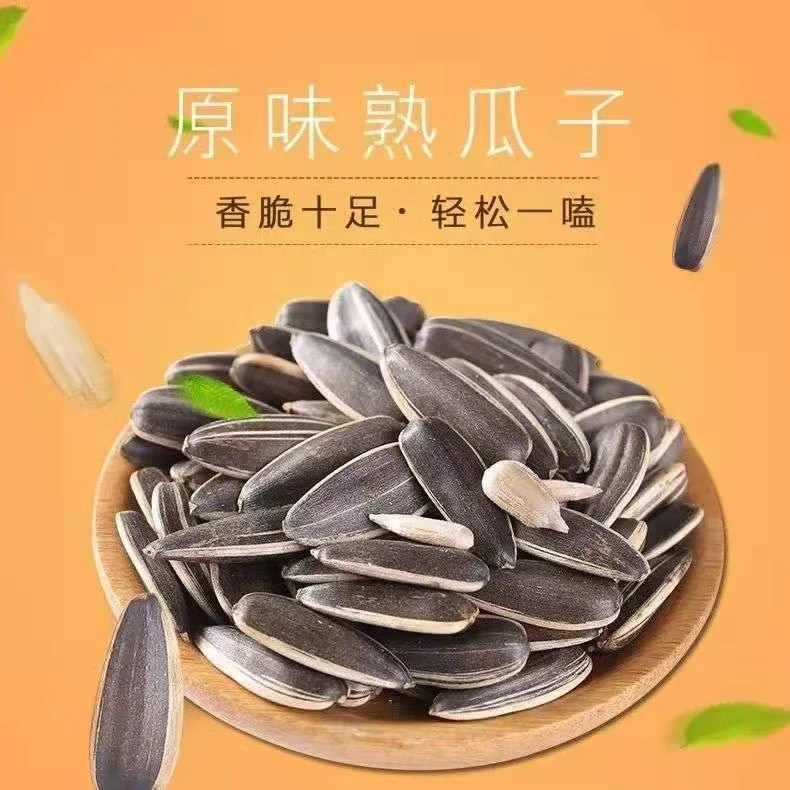 【拍一送一到手两斤】内蒙新货原味现炒熟瓜子休闲必备零食原味更香