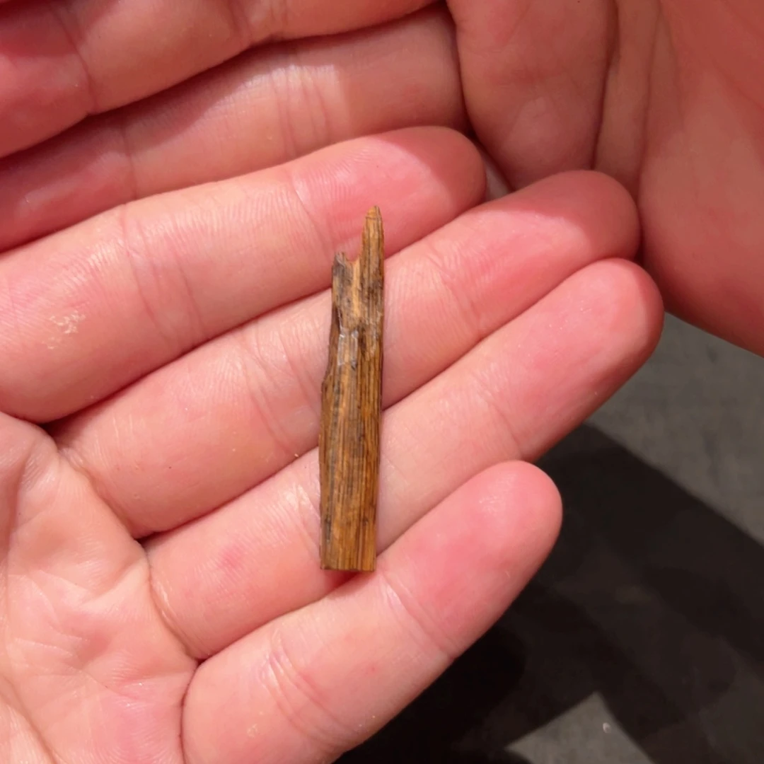 沉香吊坠香港油结树心绿白双色棋楠0.6g