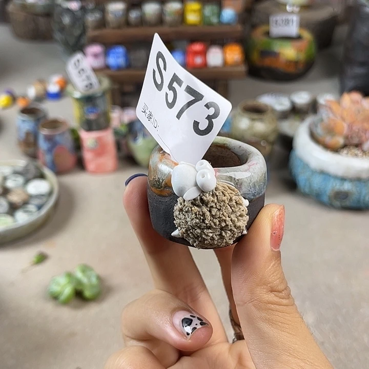 小白孤品 立体小羊盆 内口2.5不规则 百搭