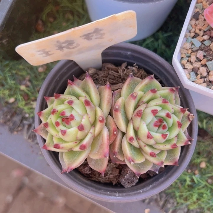 健健康康平平安安