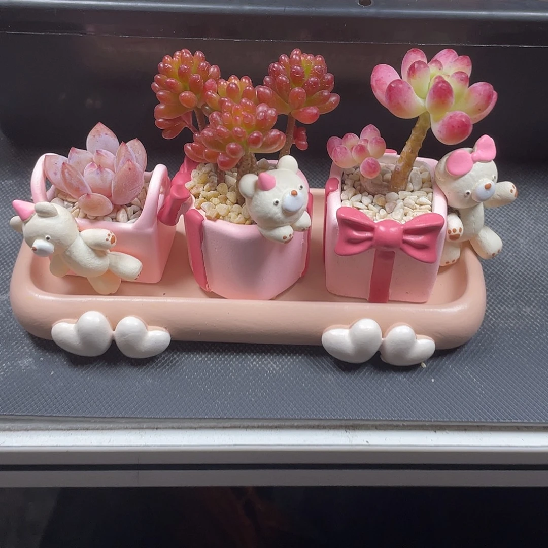 小熊三件套一物一拍