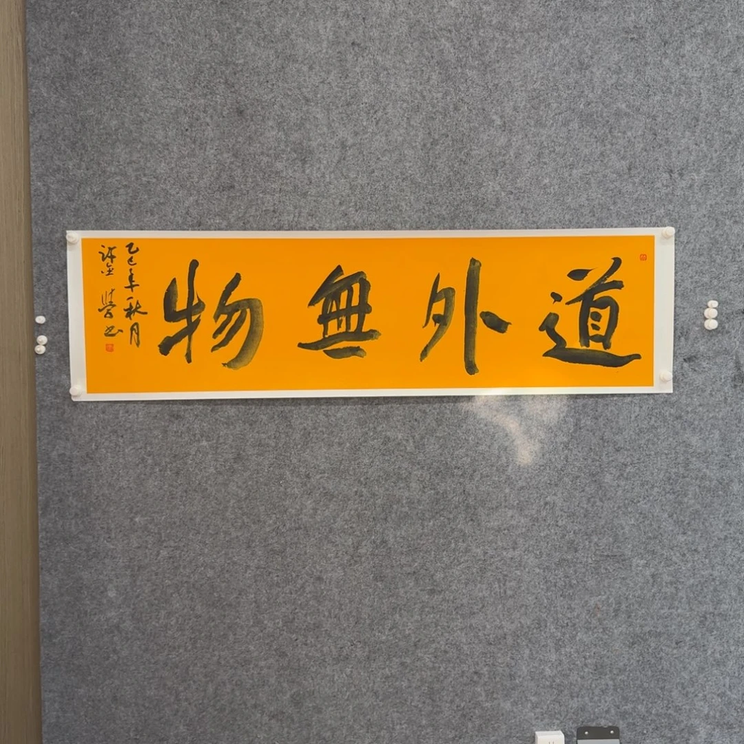 书法书法ZSY老师作品