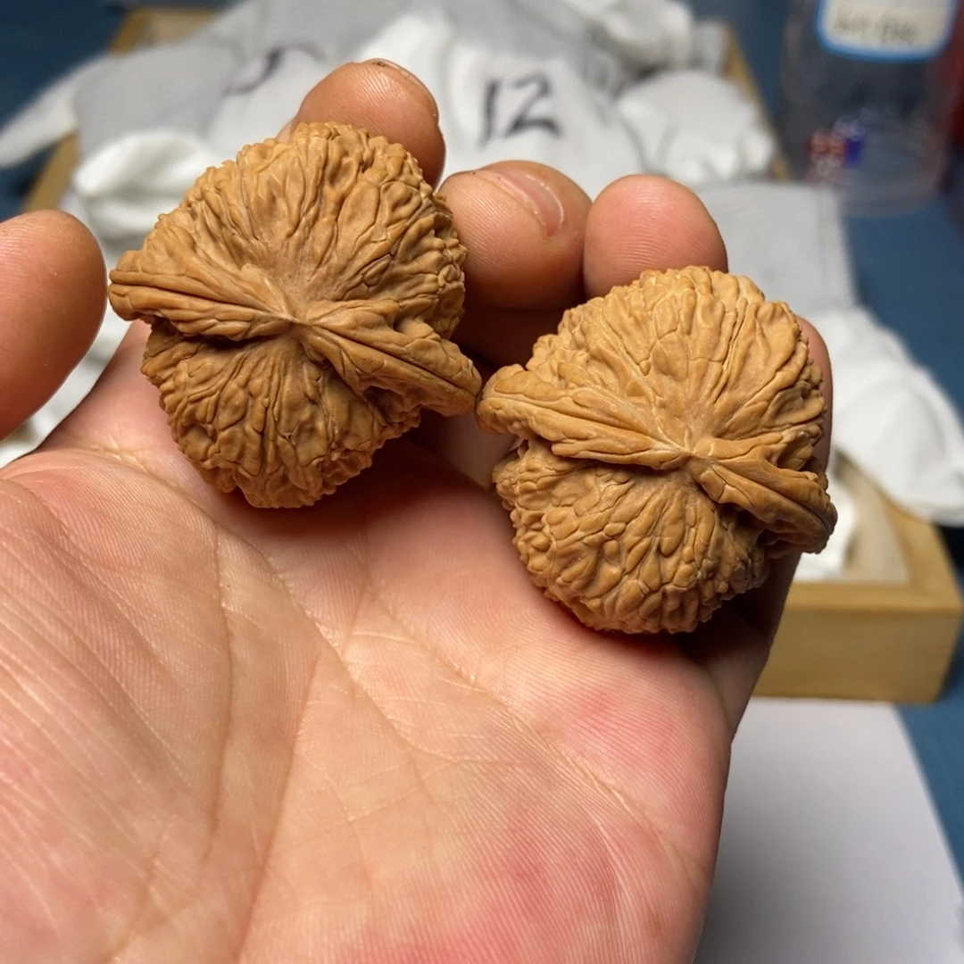 文玩核桃把件白狮子