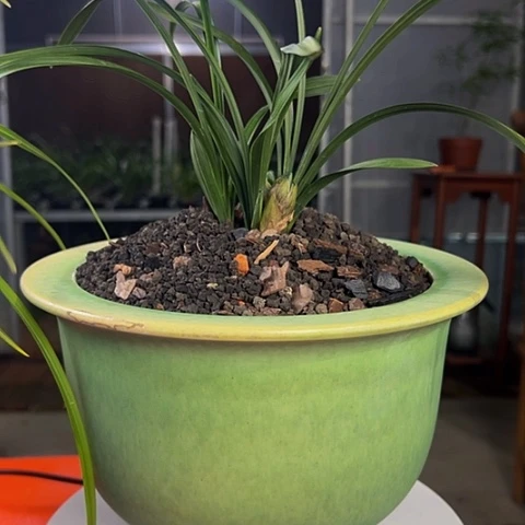 摆件绿釉雅光陶瓷