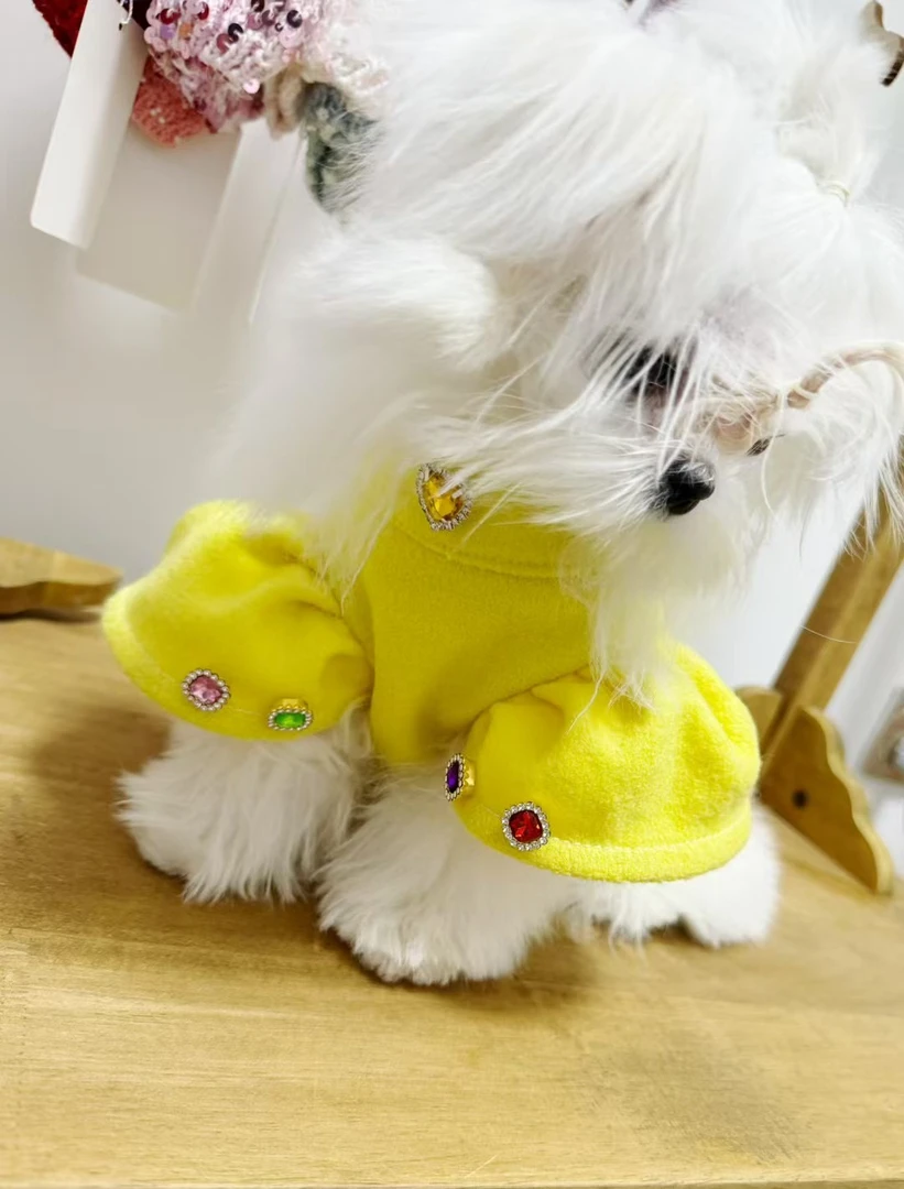 韩版薄款休闲秋冬宠物泡泡袖打底衫适合小型犬猫咪