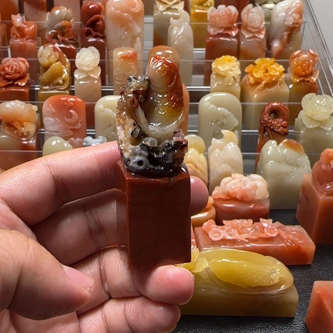 老挝石锦鲤   2.2×7.1