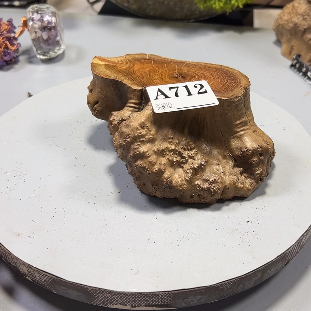 大果紫檀（缅甸花梨）往**生