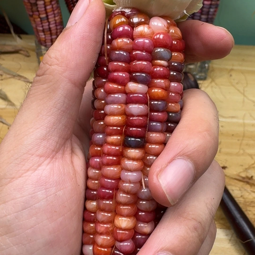 *****柏香籽/百香籽吊坠