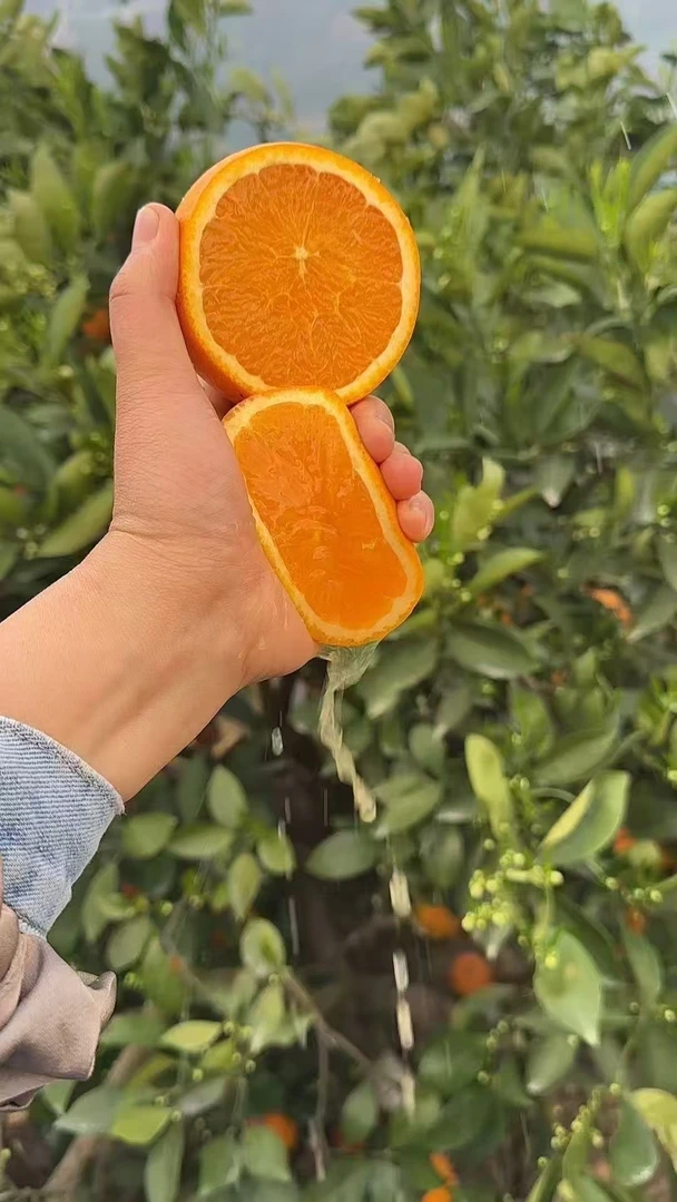 秭归伦晚脐橙应季水果爆汁皮薄果冻橙子