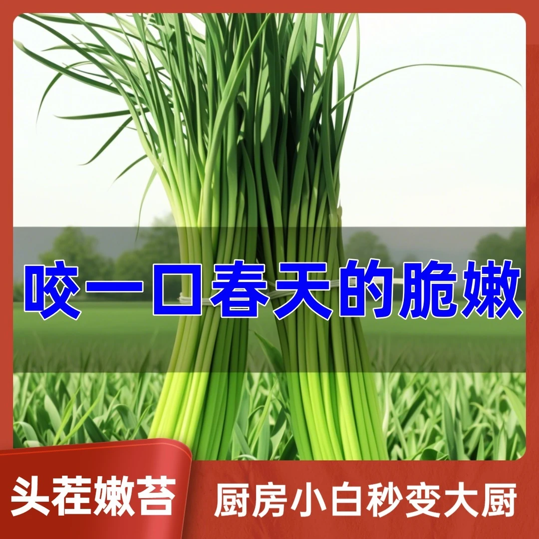 助农特产】新鲜嫩蒜苔 蔬菜红帽新蒜薹蒜毫脆嫩不泡水放心吃
