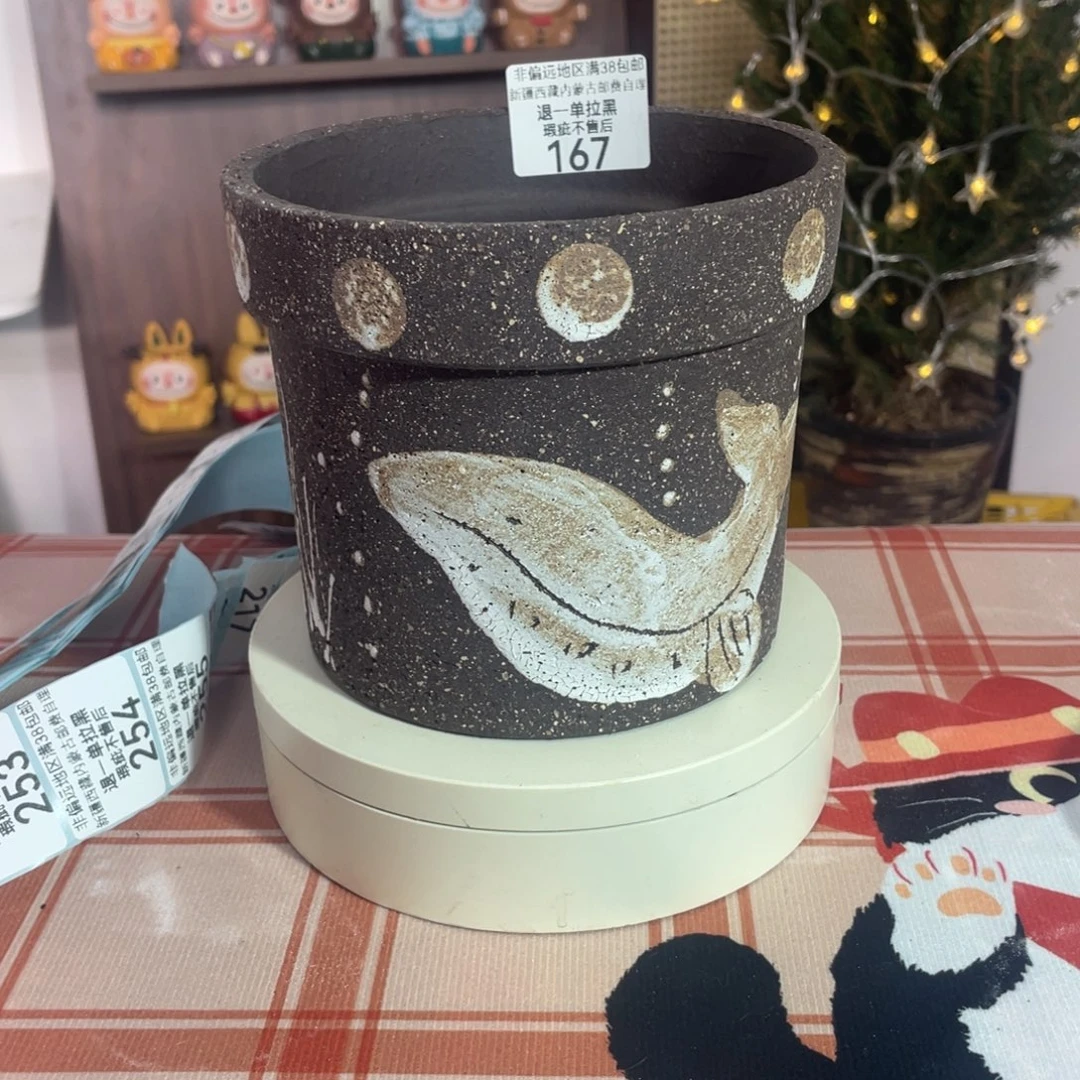 167多肉花盆口13.4高11