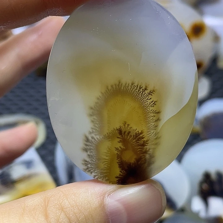 未镶嵌颈饰玛瑙/玉髓