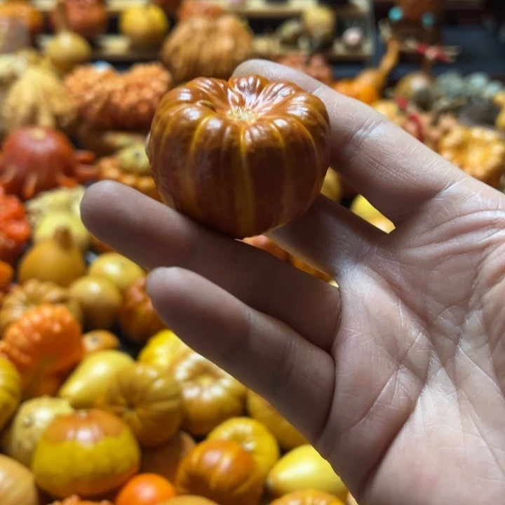 聚宝盆双色墨西哥葫芦