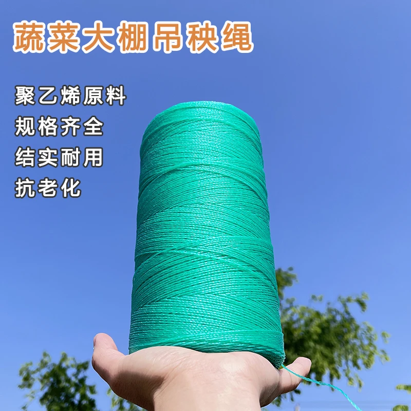 大棚吊秧绳蔬菜番茄西红柿专用吊蔓绳爬藤网上下拉绳横拉绳塑料绳