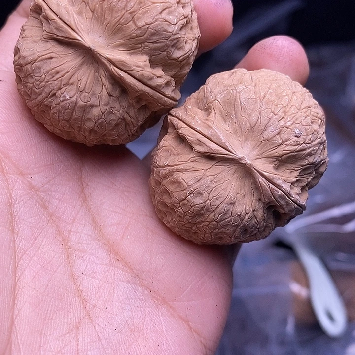 文玩核桃把件   231