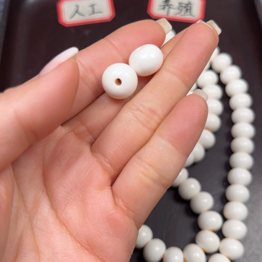 驼骨手串/手链编号4发2颗尺寸1.2