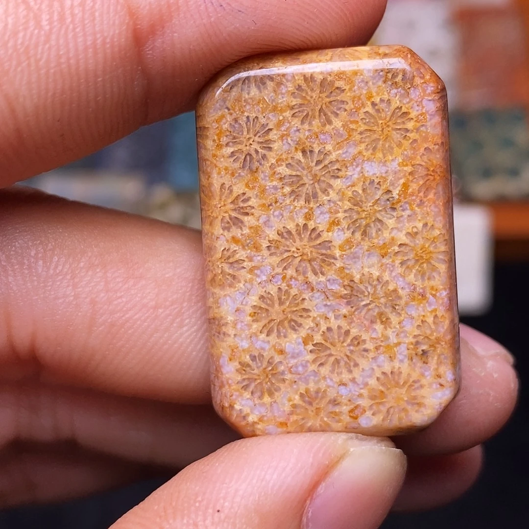 彬***g硅化玉合金珊瑚玉