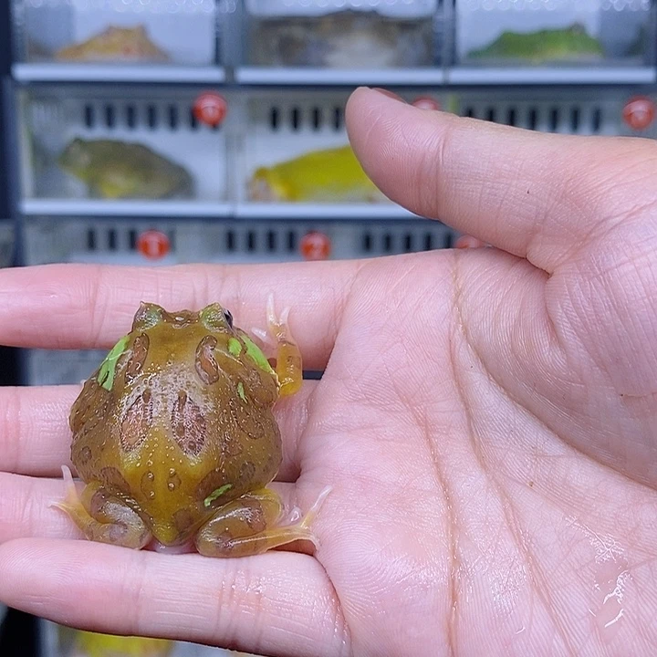 特价秒杀现货特价
