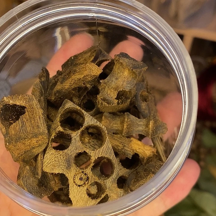 楠木高油车珠料20克