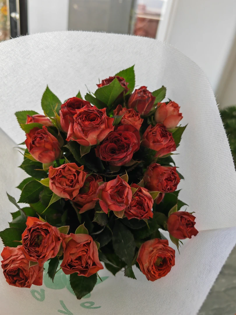 巧克力玫瑰云南基地直发0℃以下拍保温棉