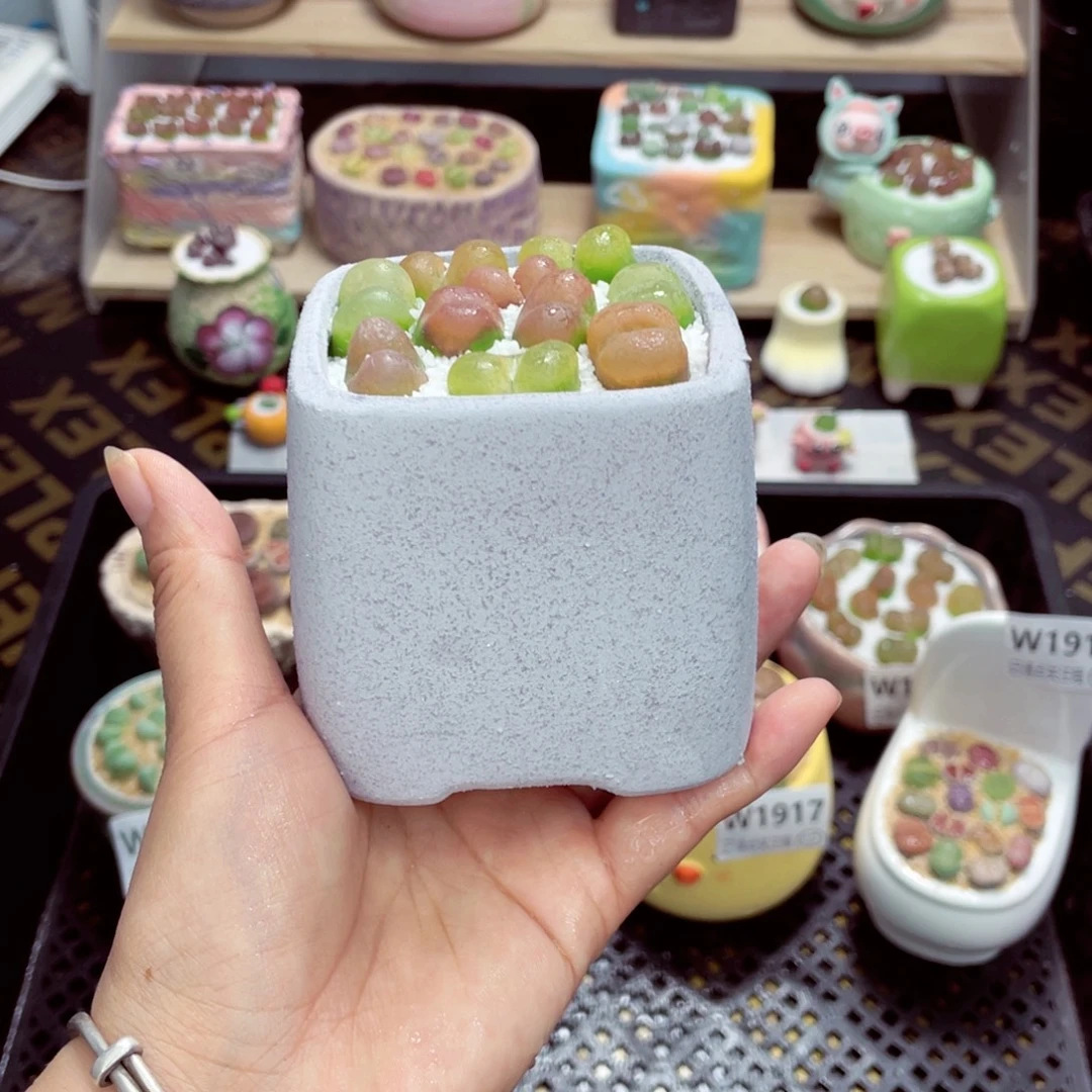 w1919 带盆土发货一物一拍
