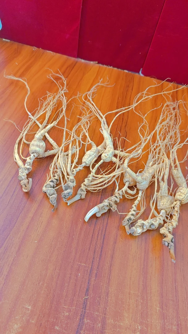 东北人参，人参，干残参，泡酒，打粉，