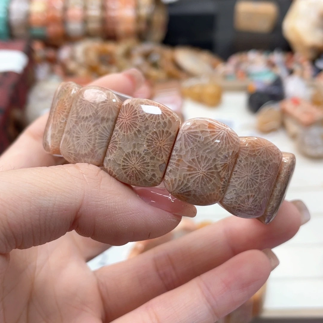 未镶嵌手链硅化珊瑚（珊瑚玉）猫****城142