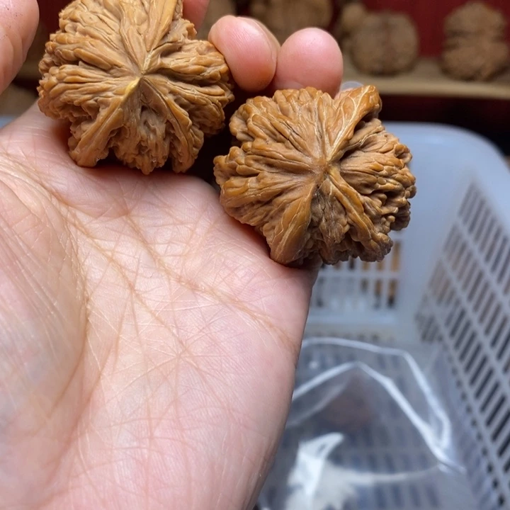 不***之把件文玩核桃文玩