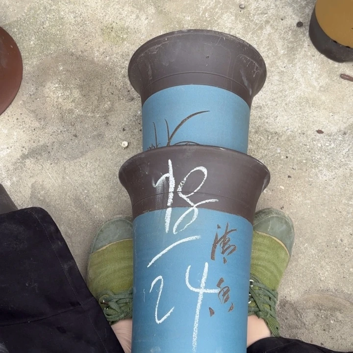 紫砂花盆紫砂的花