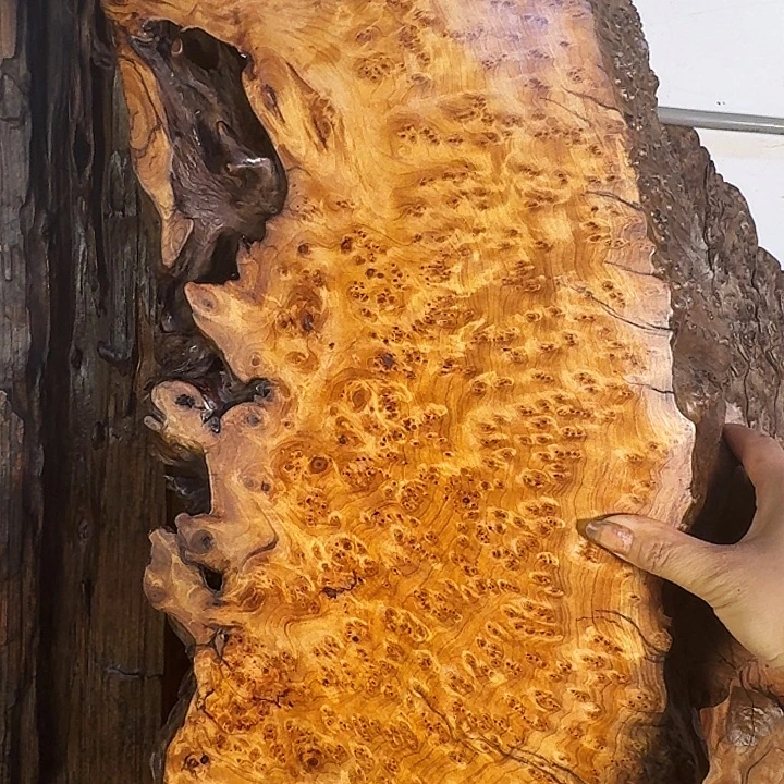 共***字紫檀木类端景台川柏