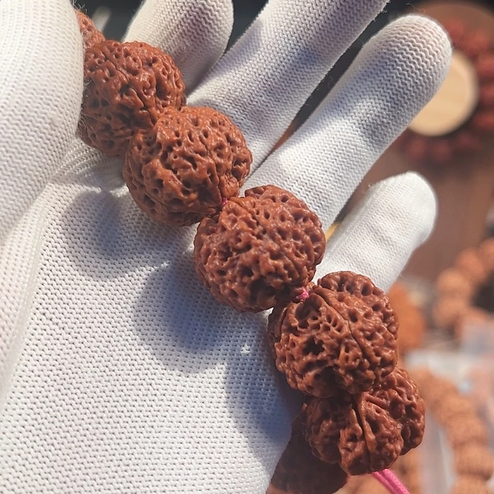 南***太金刚菩提吊坠龙牙梅花货头