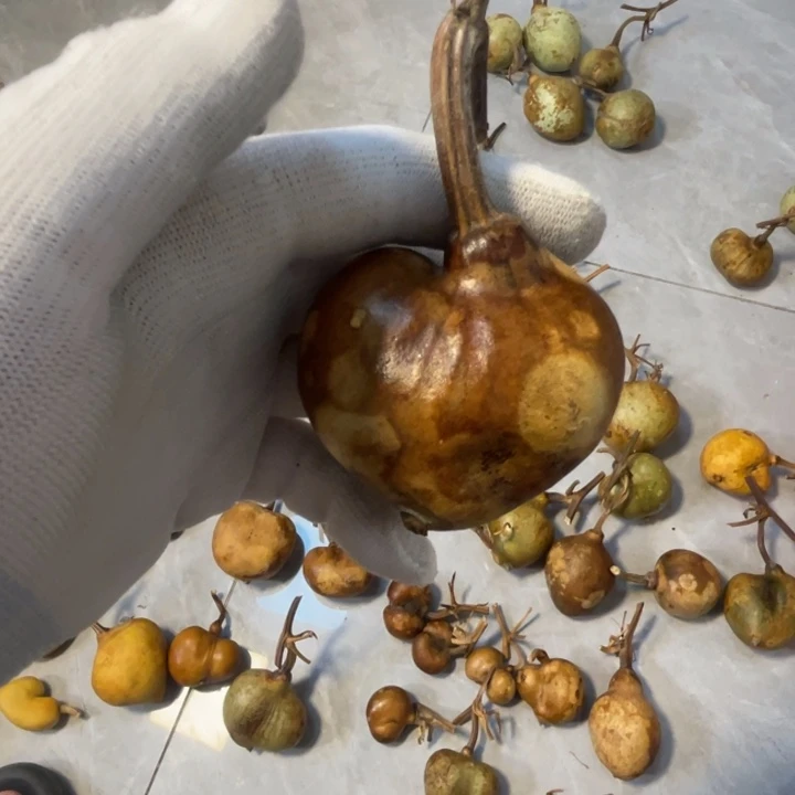 俗***耐葫芦葫芦葫芦葫芦