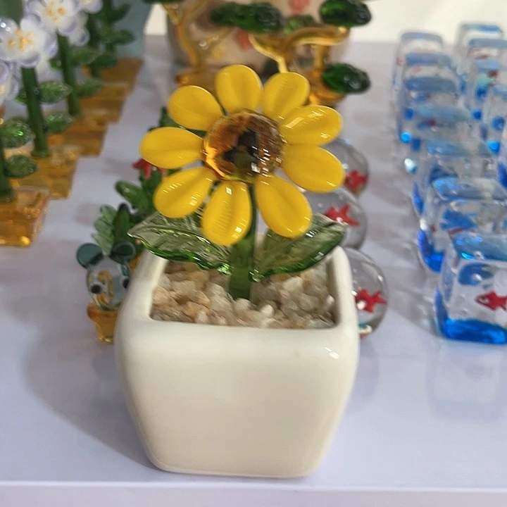 茶宠我也不知道我为什么要