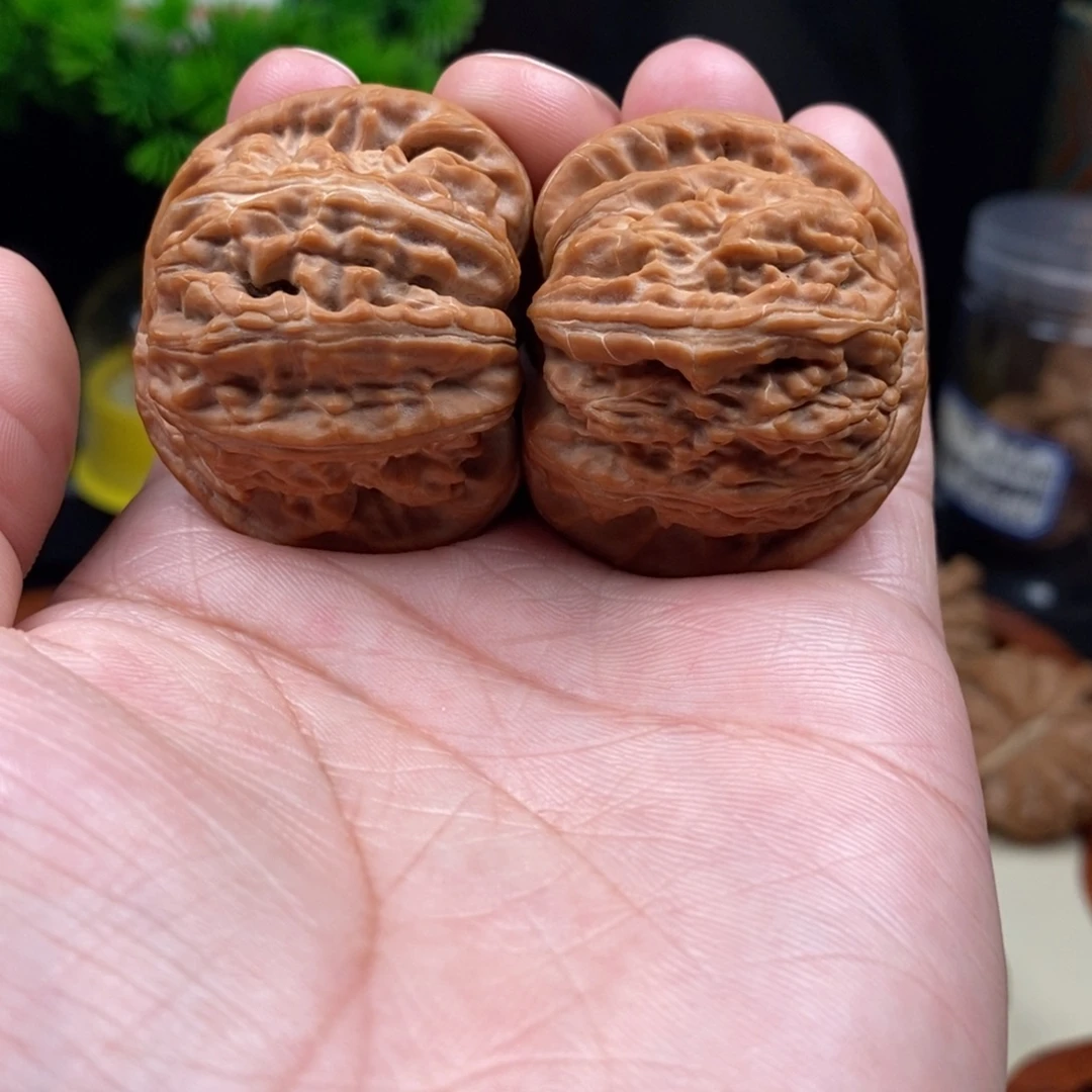 核桃全品白狮子41.5