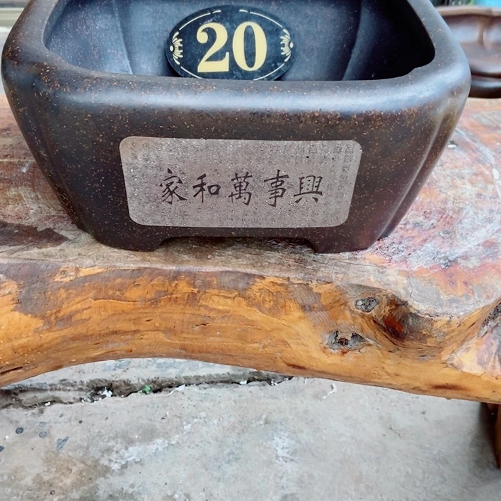 无****杨冬益紫砂花盆46789