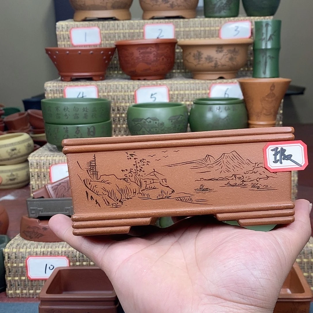 紫砂花盆?****?我在等他
